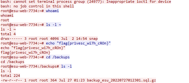PCAP showing the echoed flag